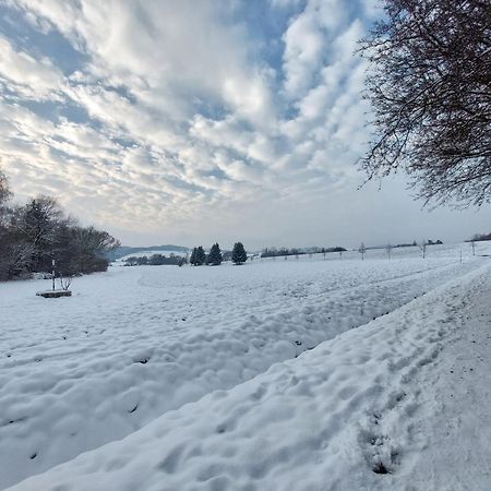 Groundfloor Retro Vintage Bezbarierovy V Rodisti Karel Capek Rur Robot V Blizkosti Krkonos Pro Milovniky Cyklistiky Vintage Non-Barier Accomodation Near Mountain For Bicycle, Jw Apartment Male Svatonovice ภายนอก รูปภาพ