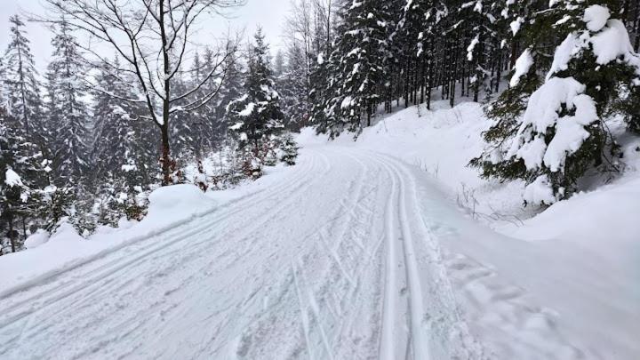 Groundfloor Retro Vintage Bezbarierovy V Rodisti Karel Capek Rur Robot V Blizkosti Krkonos Pro Milovniky Cyklistiky Vintage Non-Barier Accomodation Near Mountain For Bicycle, Jw Apartment Male Svatonovice ภายนอก รูปภาพ